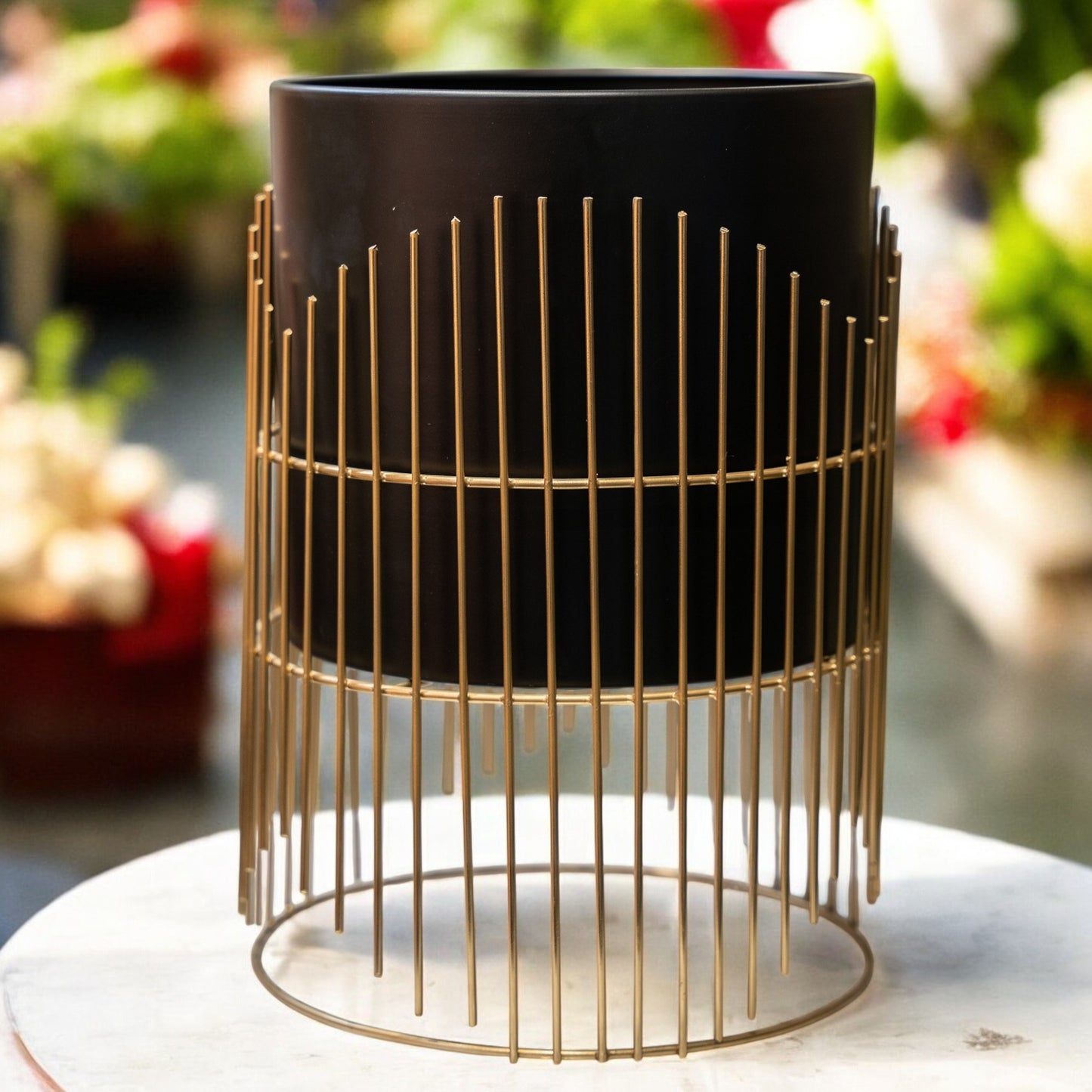 Brushed Black and Gold Planter with Wire Cage Stand