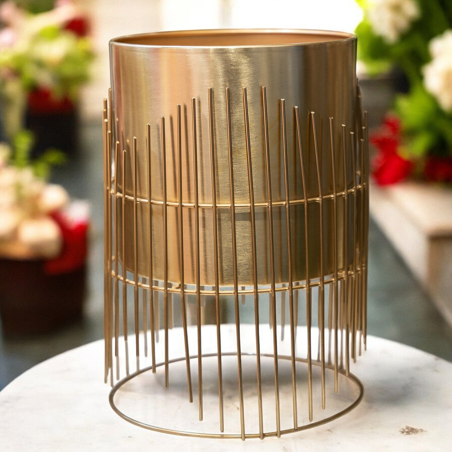 Brushed Gold Planter with Wire Cage Stand