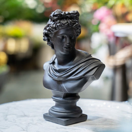 Apollo Noir Bust