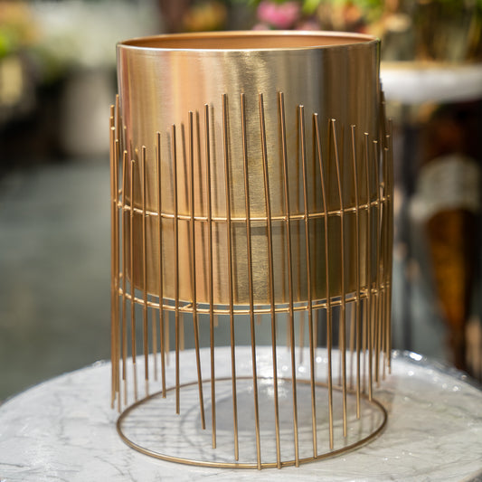Brushed Gold Planter with Wire Cage Stand